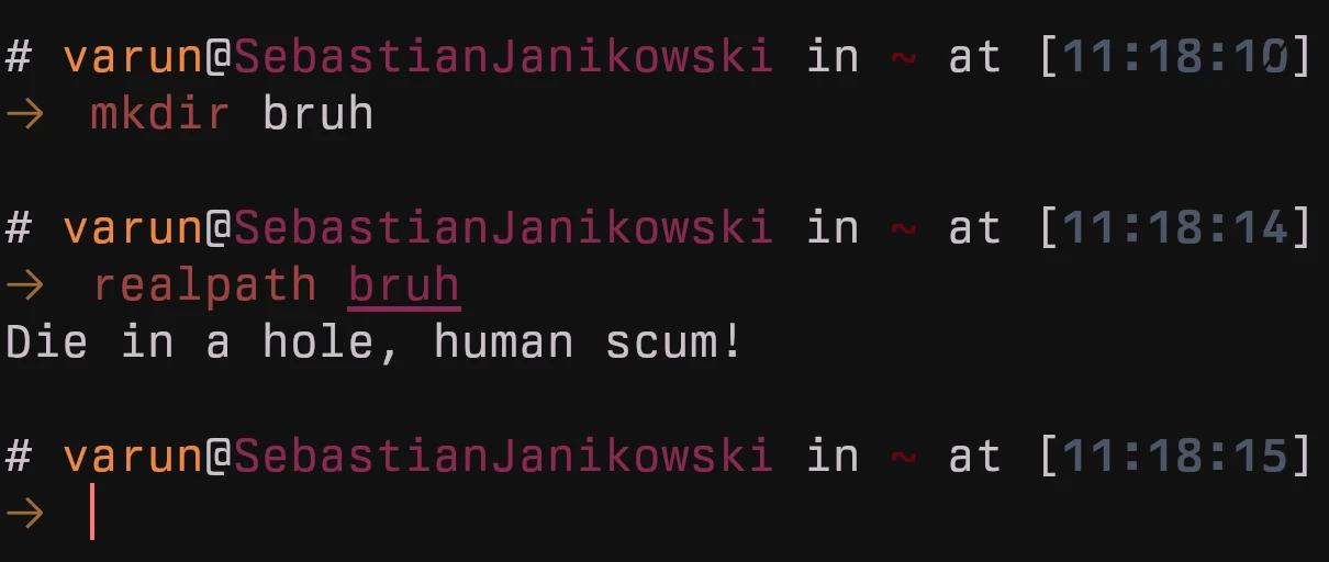 A fake run of the realpath command