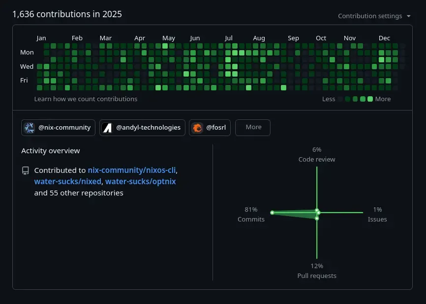 My GitHub contribution graph for 2025
